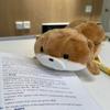 Pen Holder Otter Pencil Case Large Capacity Stationery Bag Plush Pencil Bag  Students
