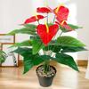 Real Touch Artificial Red Palm Plant 35/50CM Fake Plants  Outdoor Indoor Decor