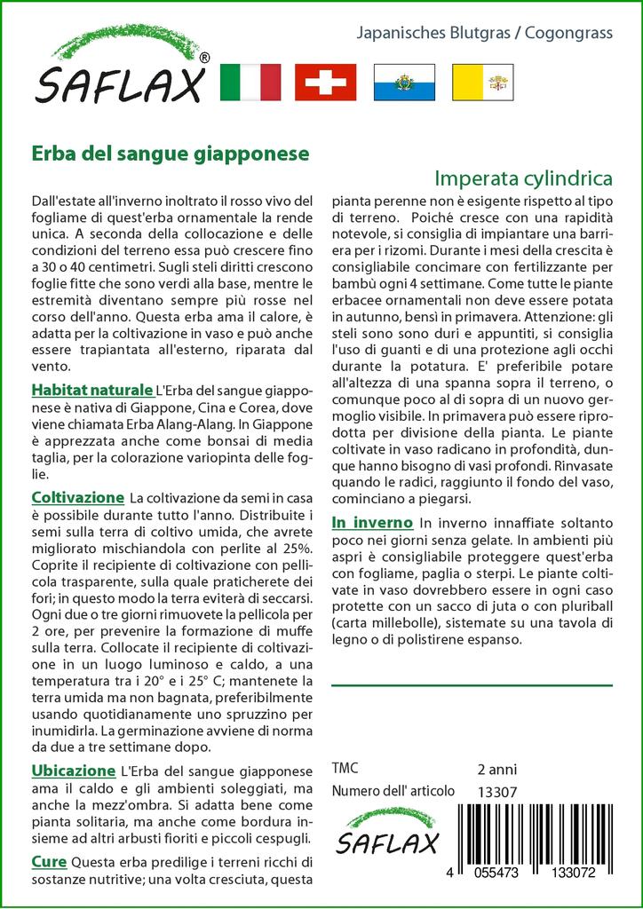 SAFLAX Когонгграсс - 50 семян - Imperata cylindrica