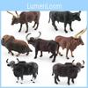 Изысканная коллекция статических моделей из ПВХ быков, коров и водяных буйволов Анколе-Ватуси
