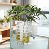 Extendable Hook Aquatic Plant Holder Versatile Plant Cultivation Rack  Plant Cultivation