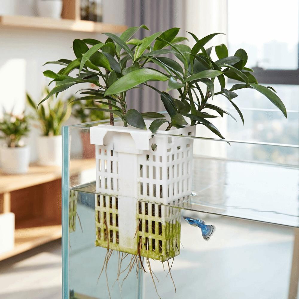 Extendable Hook Aquatic Plant Holder Versatile Plant Cultivation Rack  Plant Cultivation