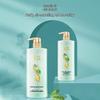 Shulei Green Tea Seed Oil Control Anti-Dandruff Shampoo