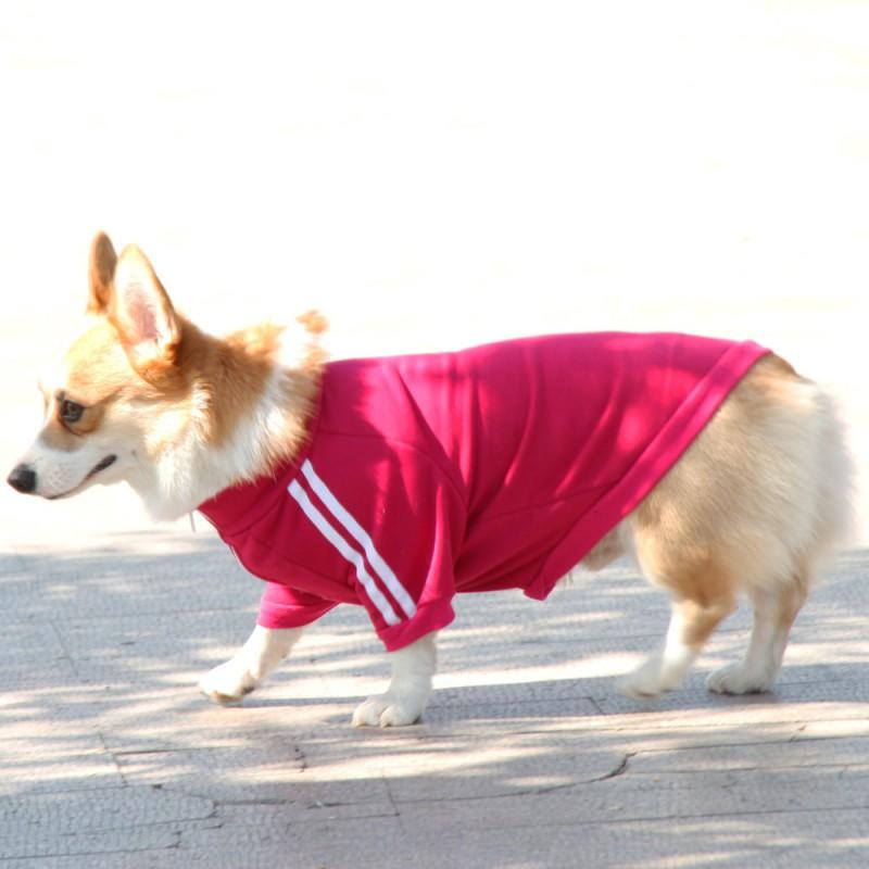 Cotton Pet Hoodie Teddy Poodle Shih Tzu Corgi Dogs Trendy Retro Style Unisex Large Size