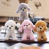 Cute Ins Poodle Dog Pendant Plush Toy Dog Dog Teddy Dog Bag Hanging Keychain