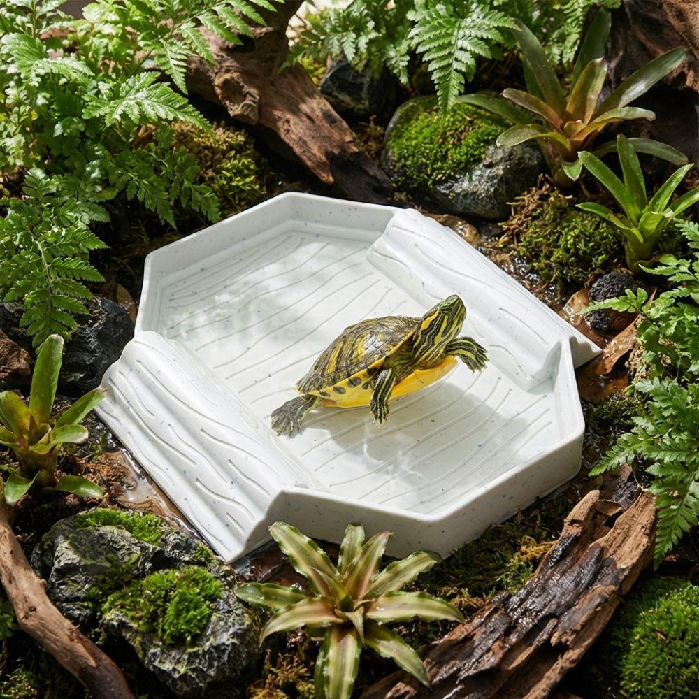 Plastic Tortoise Water Dish with Ramp Reptile Pool Dish Turtle Bath Basin Habitat Accessories
