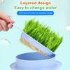 Mint Cat Grass Pot Soilless Hydroponic Lazy Cat Grass Planting Box Catnip Promote Digestion Cat Snacks Planting Container Tools
