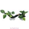 Reptile Climbing Branch Terrarium Plant Suction Cup Aquariums Decoration Simulate Aquatic Plant Reptiles Tree for Gecko