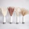Source Yunnan Dried Flower Bouquet Combination, Real Flower Pampas Grass Home Decoration Reed Rabbit Tail Grass Dried Flowers