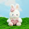 Teddy Bear Plush Toy Mocha Bear Doll Rabbit Grab Machine Ragdoll Children's Doll Birthday Gift