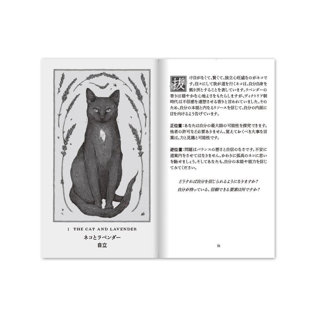 Oracle Cards Woodland Wardens Oracle Cards Japanese Version Affirmation Fortune Telling Japanese Manual Included I.I.J