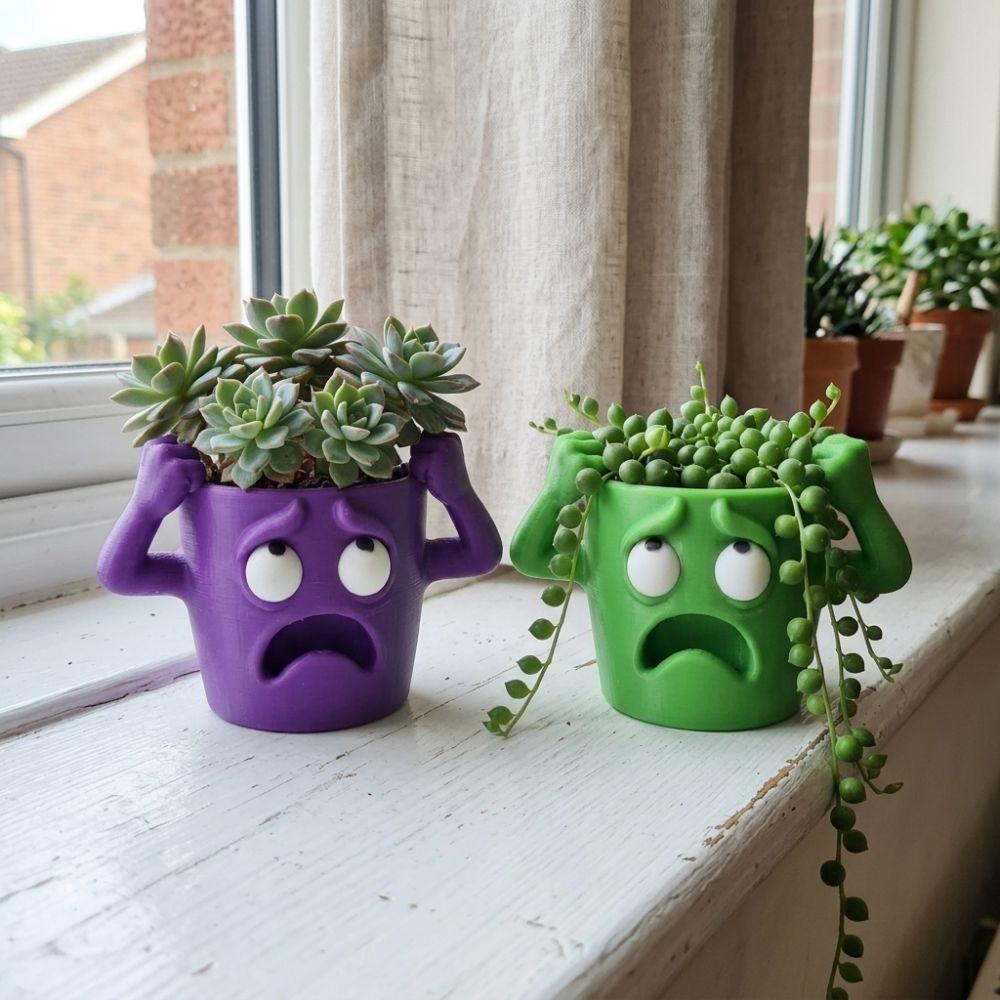 Humorous Face Funny Face Succulent Planter Quirky Face Desktop Flower Pot Desk Room Decor
