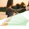 12Pcs Artist Paint Brushes Nylon Hair Art Supplies Stationery Watercolor Oil Painting Pen