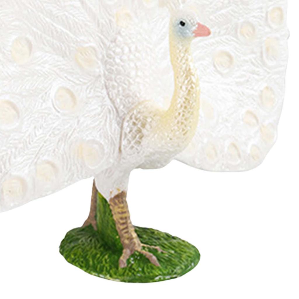 Фигурка дикого животного Обучающая игрушка Дошкольная Декоративная Реалистичная модель павлина Расписанная вручную для украшения офиса, дома, для детей