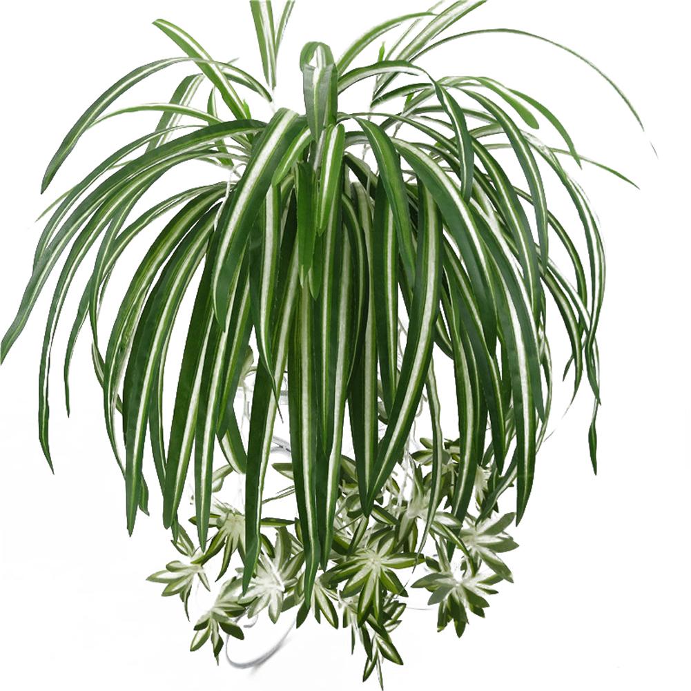 Искусственный хлорофитум, шелковый цветок, орхидея, растение, настенное крепление, имитация украшения из ротанга