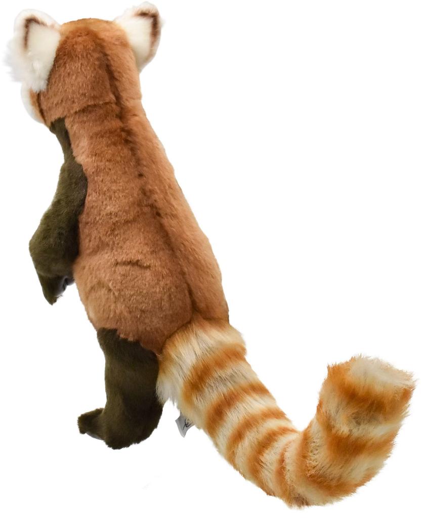 BH7252 HANSA Red Panda 37