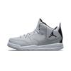 Air Courtside 23 PS Серый Туман AQ7734-002