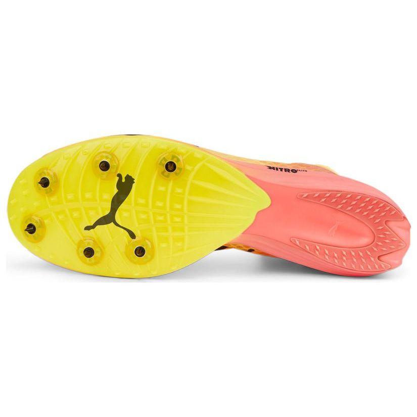 Puma Evospeed Distance Nitro Elite Обувь для трековых гонок Мужские кроссовки Оранжевый Красный 377383-01