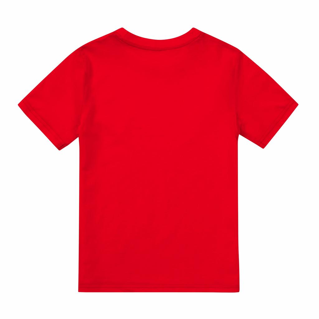 Футболка для мальчиков PJ Masks Сова