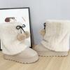 Winter High-heeled Thick-soled Snow Boots Women's High-top Medium Boots Winter Outer Wear Imitation Fur Fur Boots