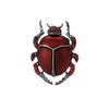 Beetle Brooch Creative Insect Brooch Niche Design Anti-Light Pin Suit Accessories
