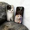 Забавный чехол для телефона с кошкой Чехол для телефона для iPhone 17,16,15,14,13,12,11 Plus,Pro Max,XS,Цветной Посеребренная Внутренняя крышка