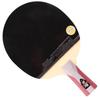 DHS 5-Star Table Tennis Racket