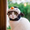 Аксессуары для домашних животных, шляпа для кошки, костюм для косплея, шапка для щенка, милый головной убор для домашнего животного