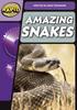 Книга Rapid Phonics Step 3: Super Snakes (Non-fiction)