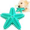 Жесткая и забавная жевательная игрушка из ТПР для маленьких, средних и крупных собак — форма и звук морской звезды