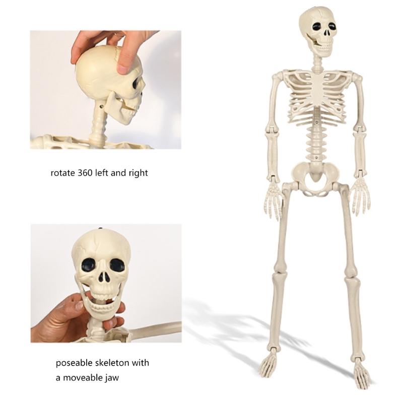 Хэллоуинская декорация Скелет в полный рост с подвижными конечностями для демонстрации в доме с привидениями и украшения для вечеринки Украшение в виде черепа