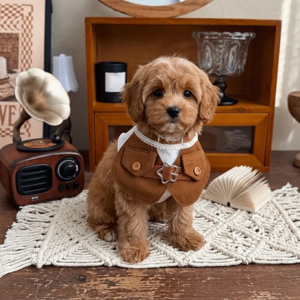 Dress-Up Puppy Vest Set Denim Pet Outfits Pet Prop Dog Cowboy Costumes Dog