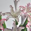 Real Touch Simulated Flower Decor DIY Craft Floral Arrangement Fake Flowers  Engagement Ceremony
