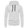 Spring and Autumn Casual Long Sleeve Hooded Rope Patch Jacquard Small Checked Men's Sweater