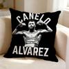 Cool Boxer OOleksandr Usyk  Pillow Case Square DoubleSided Sofa Cushion Cover Bedroom Bedside Pillow