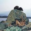 Уильям Моррис Олень Плед Диван Флис Теплый Фланель Текстильный Узор Одеяла для Постельных Принадлежностей Автомобиля Дивана Покрывала