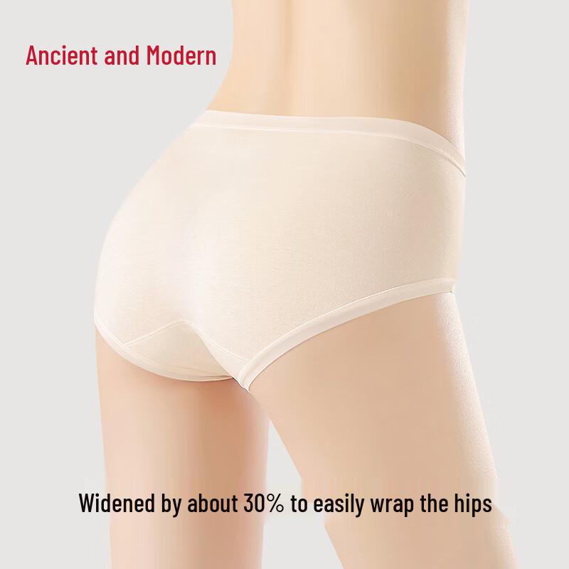 GUJIN Women's 4-Pack Antibacterial 100% Cotton Briefs