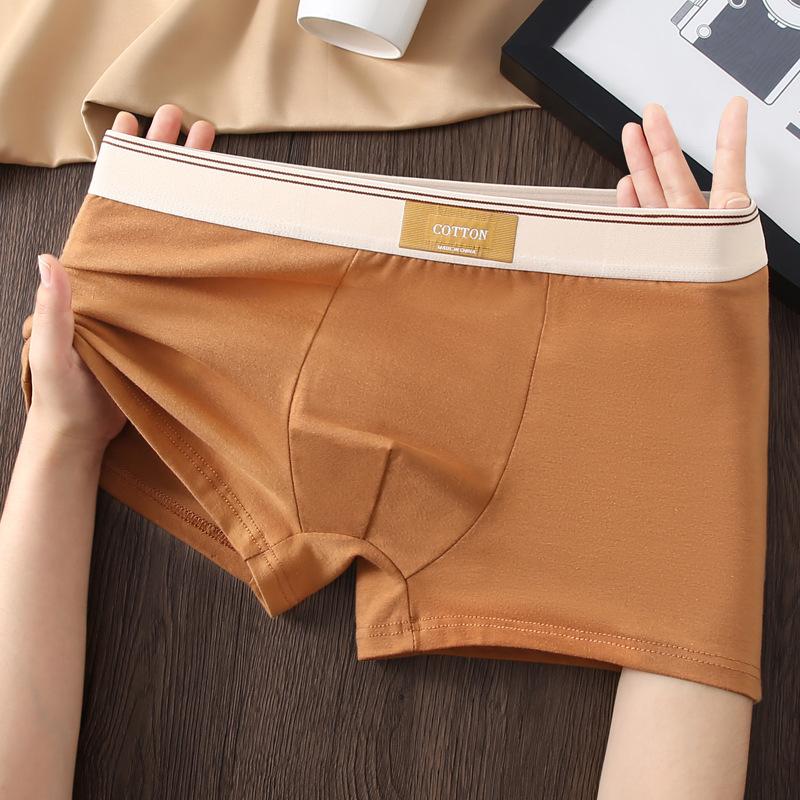 5 Pcs Men's Underwear Men's Pure Cotton Antibacterial Boxers Teen Cotton Breathable Boxers Boys' Shorts Head Pants
