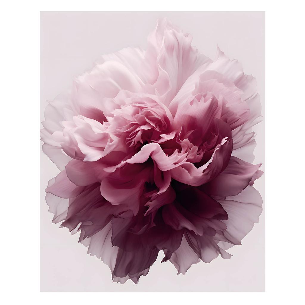 Pastelowy Urok Kwiatu Pastelowy Urok Kwiatu, 70X100 Cm, Rama Drewniana Jasny Dąb, Papier Matowy 230 Gsm