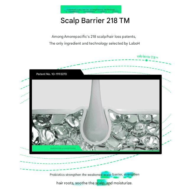 LABO-H Scalp Strengthening Shampoo 400mL, 750 mL (6 Options)