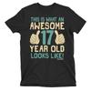 Teenager  T-Shirt AWESOME 17 Year Old Looks Like Birthday Gift Eco Mens