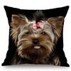 Black Background Dog Puppy Portrait Vizsla Husky Shepherd Shibu Cute Sofa Pillow Case Home Decorative Cotton Linen Cushion Cover
