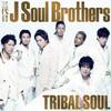 DVD SANDAIME J SOUL BROTHERS - TRIBAL SOUL  RZCD59015 Japan Japanese Pop/Rock Used