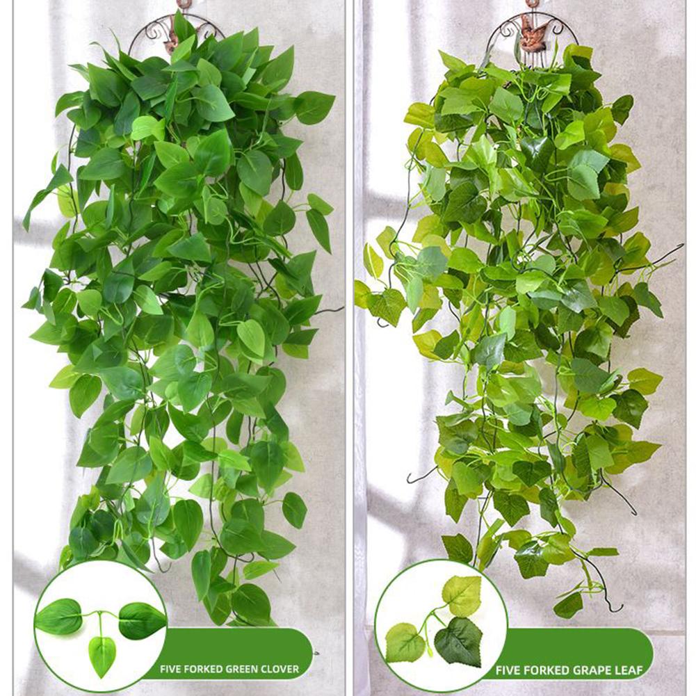 Сливочный искусственный плющ бегонии оставляет зеленый укроп висит
