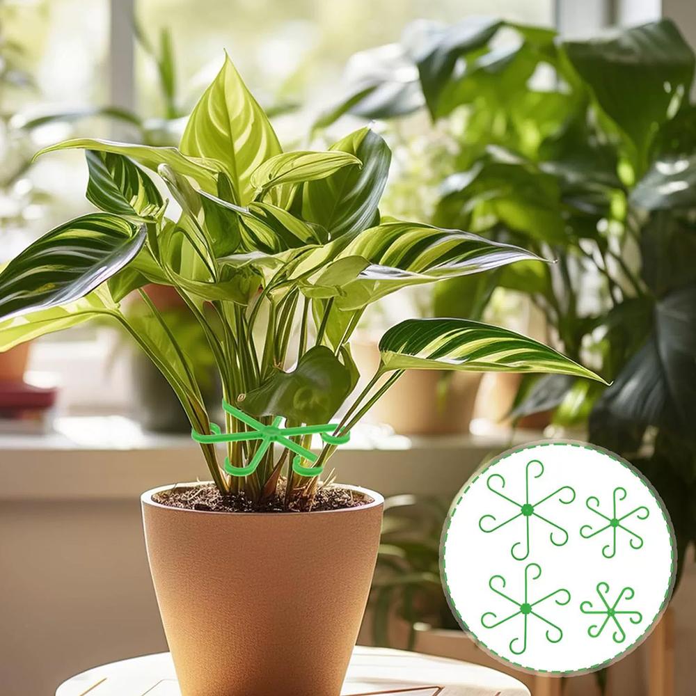 Набор опор для стеблей растений, 8 шт., многоразовые колышки для выращивания цветов, 4 размера