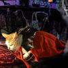 Pet Cat Halloween Vampire Cape Cloak Soft Comfortable Lightweight Cosplay Outfit Costumes Pet
