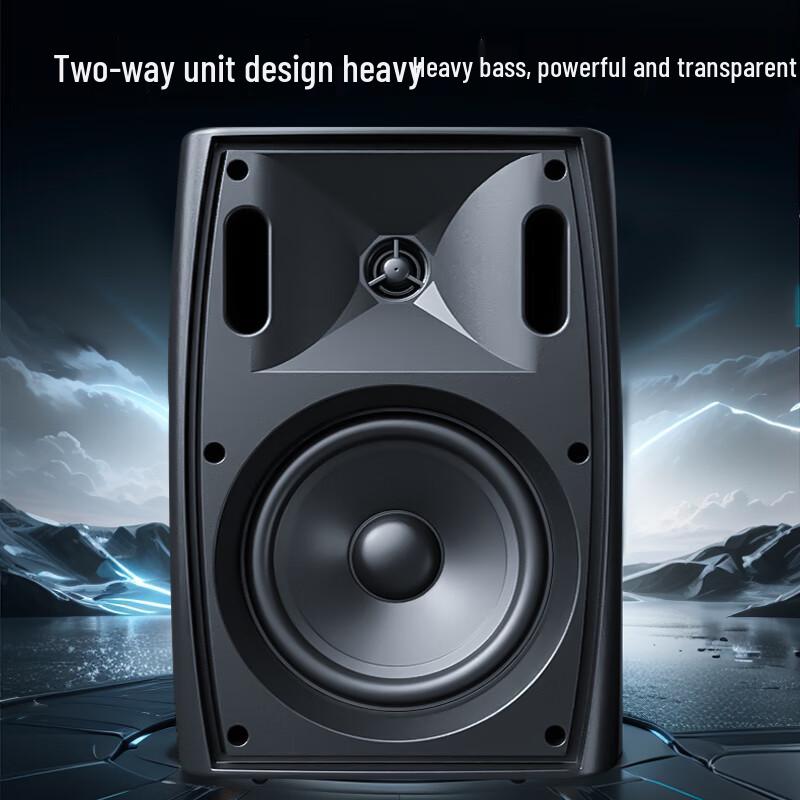 Weishu TP16-50 Wireless FM Wall-Mounted Active Speaker