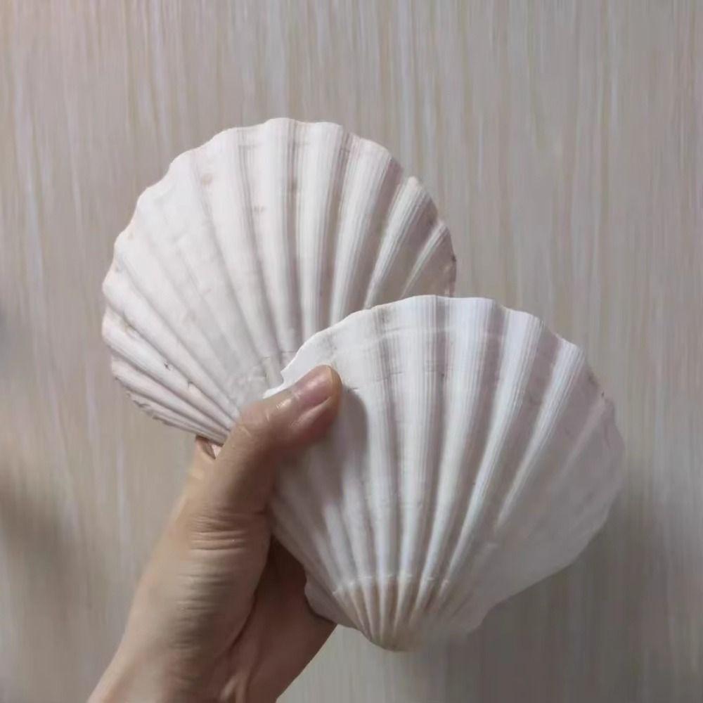 Multi-Purpose Seashell Notebook Blank Inner Pages Memo Pad Loose-leaf Notepad Gift Purpose