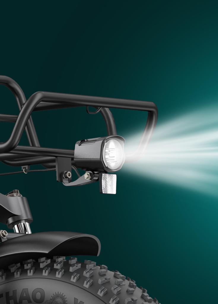 ENGWE L20 Boost 250W Torque E-Bike | 48 В 13 А·ч | Запас хода 126 км | Покрышки 20x4.0 MTB | Режим Boost Power