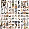 Набор наклеек DELUXEFOX Cute Cat (100 шт.) Водонепроницаемая наклейка для переноски, чемодана, наклейка для автомобиля, велосипеда, набор наклеек-рисунков, набор уплотнений, универсальный